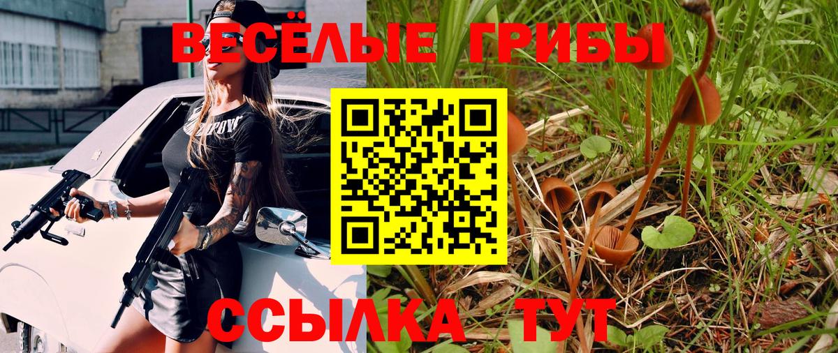 Заинск  Галлюциногенные грибы Magic Shrooms  Вход с VPN 